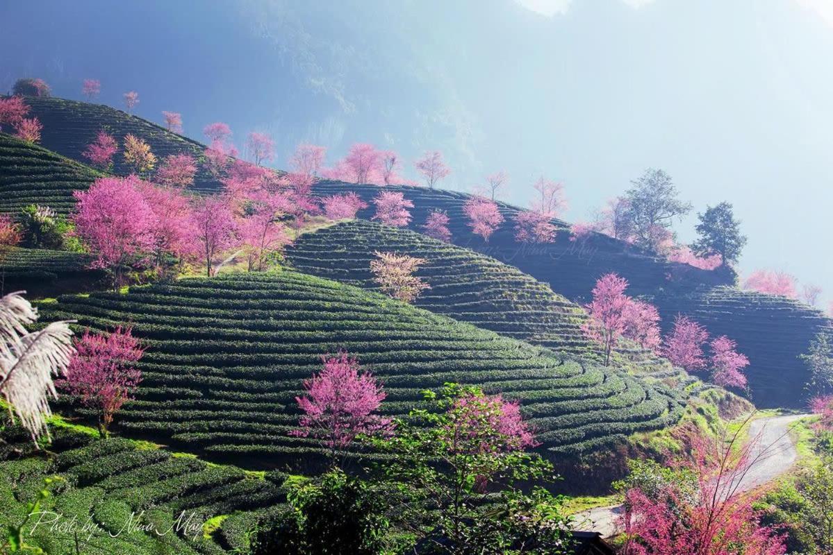 Ha Giang Hotel Sapa Buitenkant foto
