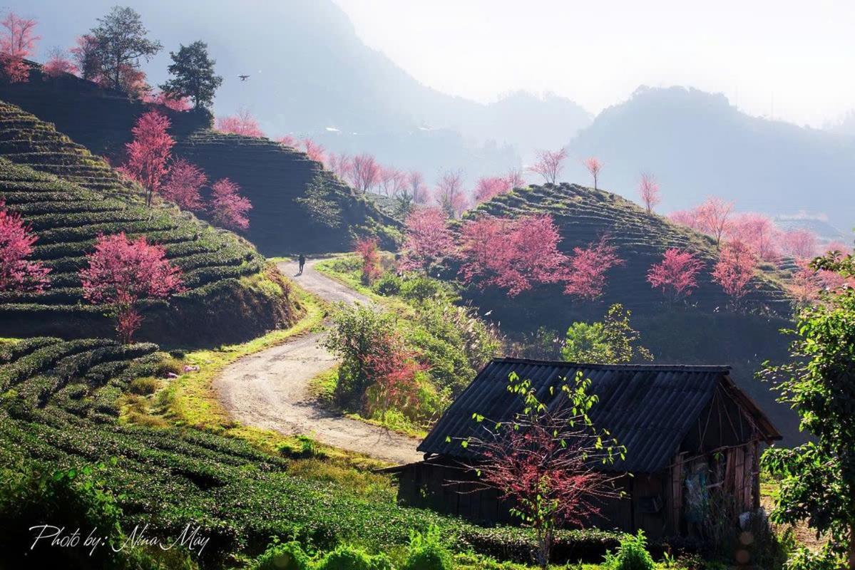 Ha Giang Hotel Sapa Buitenkant foto