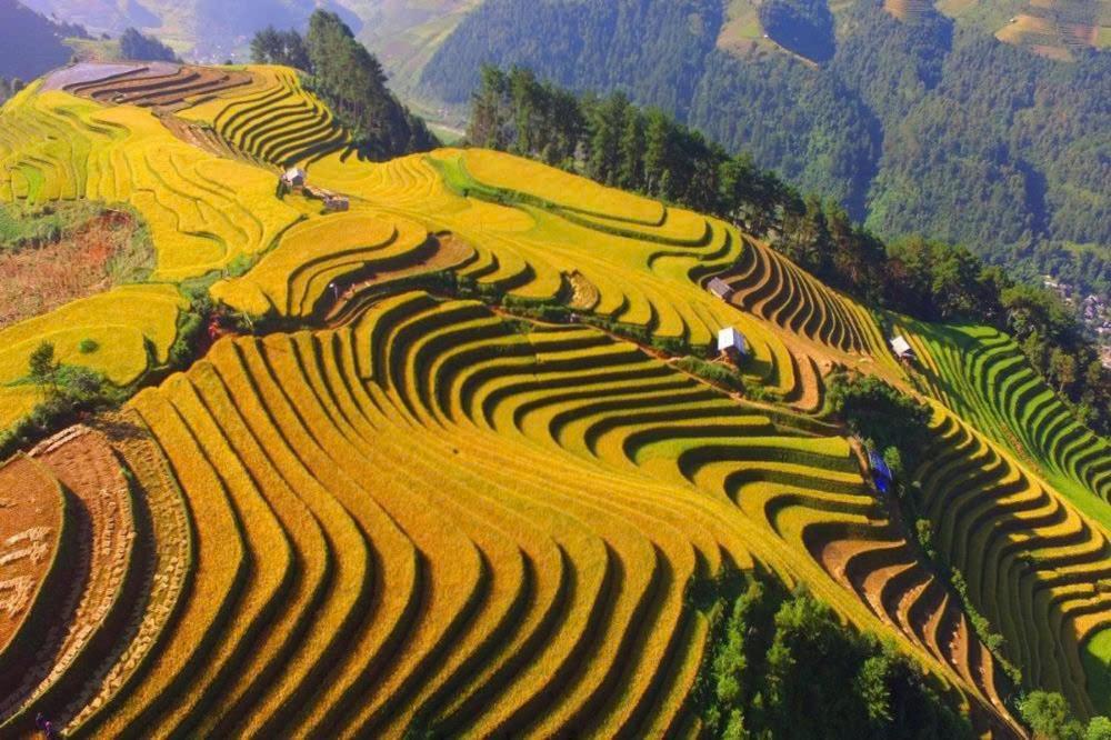 Ha Giang Hotel Sapa Buitenkant foto